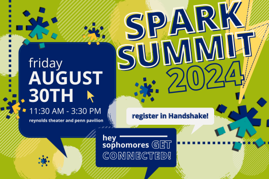 Spark Summit 2024 general flyer